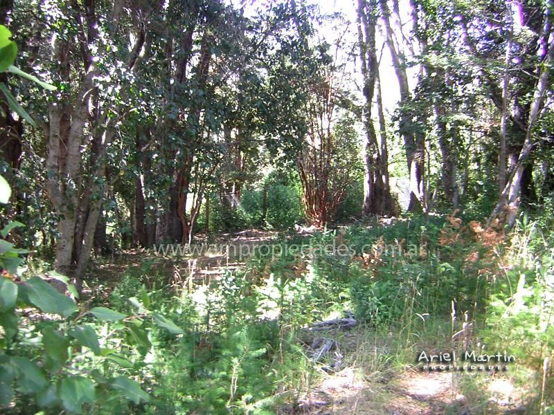 LOTEO “ANTUMAHUEN” Lago Correntoso
