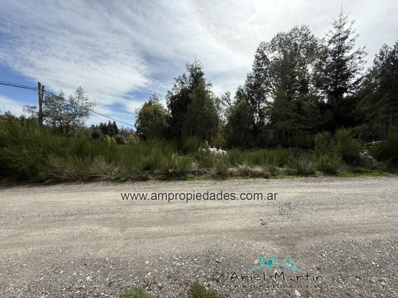 LOTE SOBRE AVENIDA SIETE LAGOS