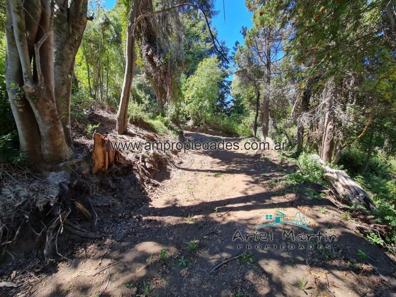 LO 535 – Calfuco