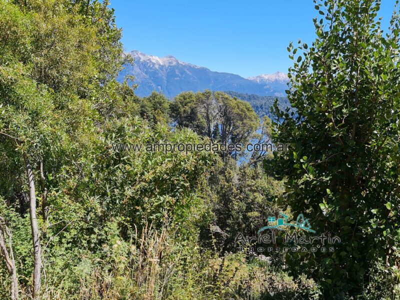 LO 535 – Calfuco