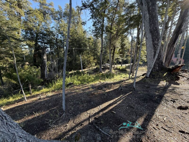 LO 554 BARRIO VILLA CORRENTOSO