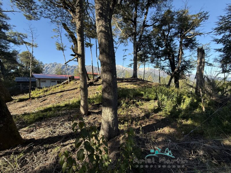 LO 554 BARRIO VILLA CORRENTOSO