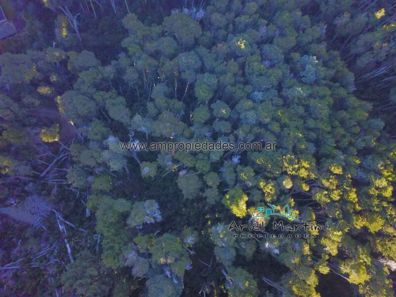 LO 584 Barrio Terrazas del Bayo