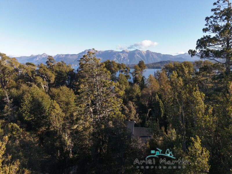 LO 535 – Calfuco