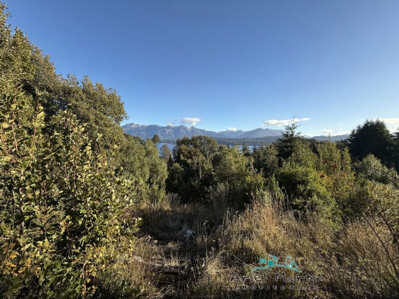 LO 535 – Calfuco