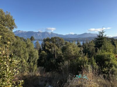LO 535 – Calfuco