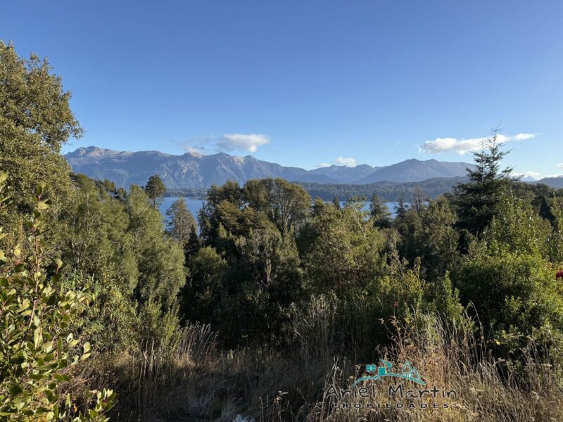 LO 535 – Calfuco