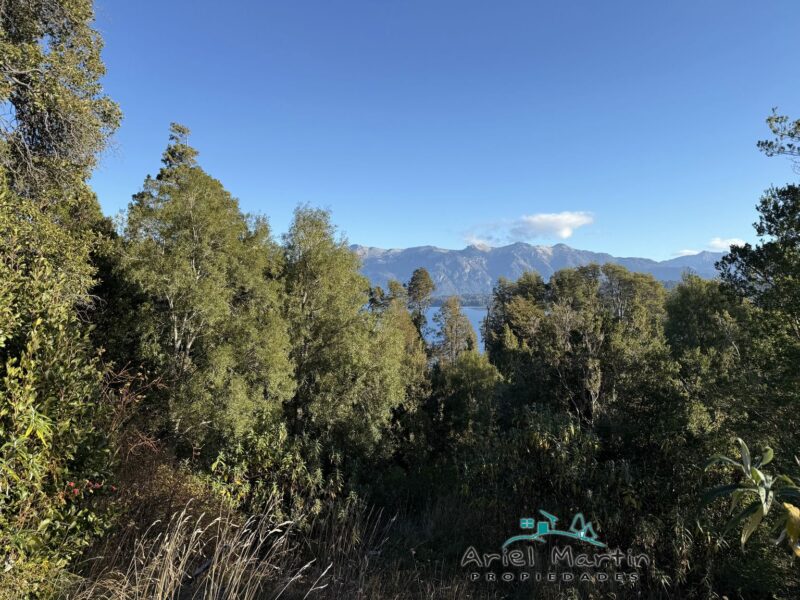 LO 535 – Calfuco