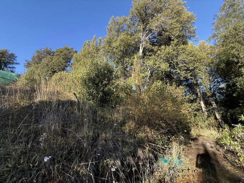 LO 535 – Calfuco