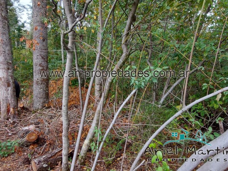 LO 564 Lote en Barrio Villa Correntoso