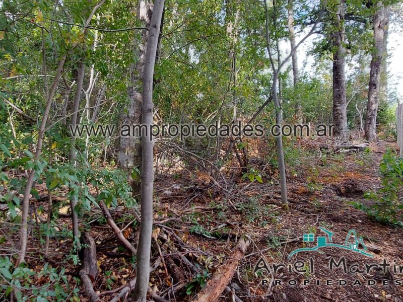 LO 564 Lote en Barrio Villa Correntoso