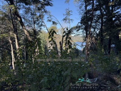 LO 596 Lote en Villa Correntoso