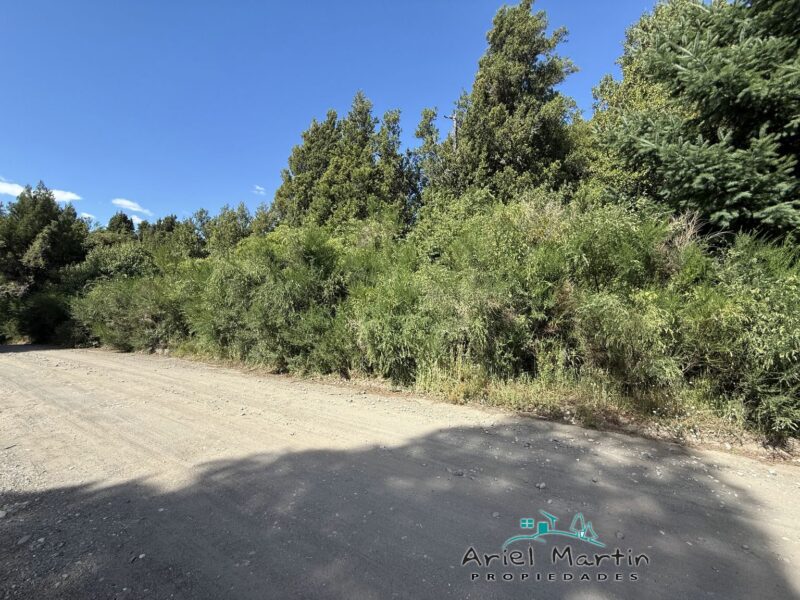 LO 606 Dos lotes en Barrio Selvana