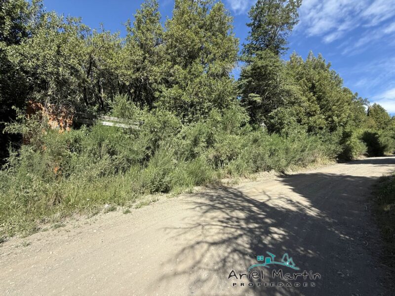 LO 606 Dos lotes en Barrio Selvana