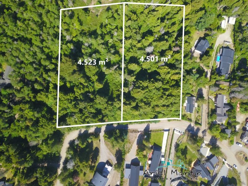 LO 606 Dos lotes en Barrio Selvana