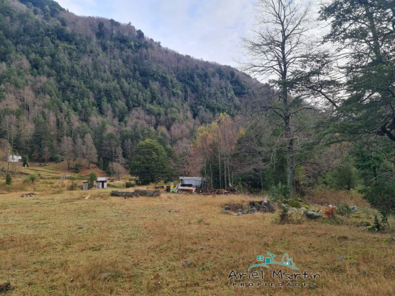 LO 628 - Fracción de 1 Hectárea en Puesco Bajo, La Araucanía