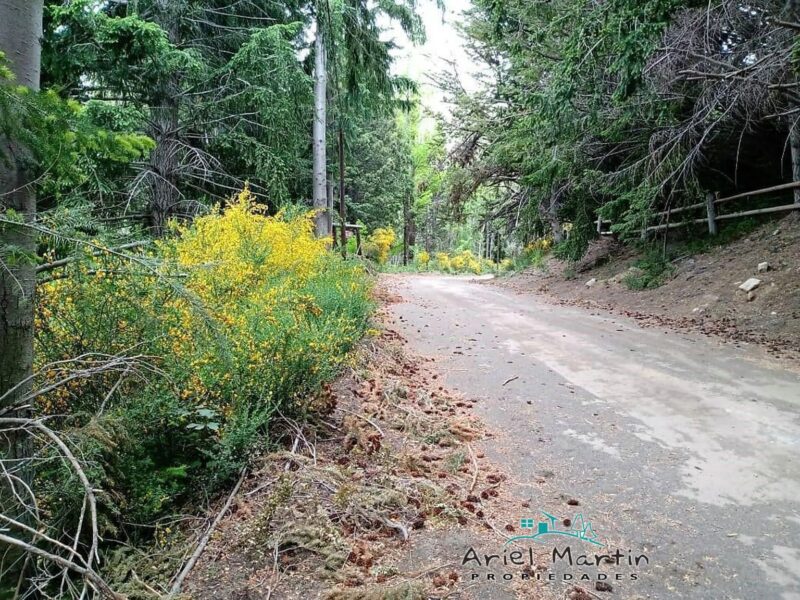 LO 632 Lote en Villa Traful