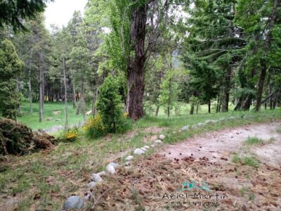 LO 632 Lote en Villa Traful