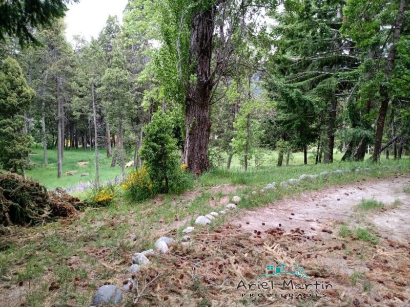 LO 632 Lote en Villa Traful