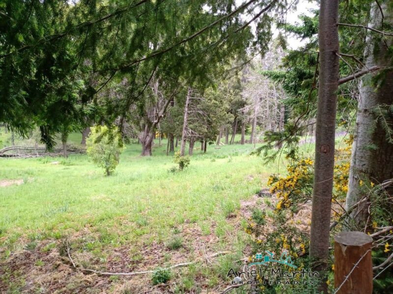 LO 632 Lote en Villa Traful