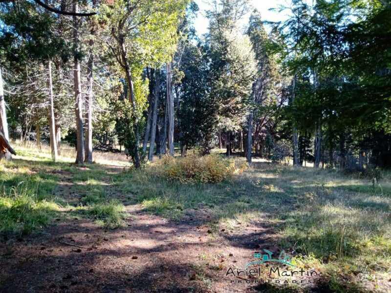 LO 632 Lote en Villa Traful